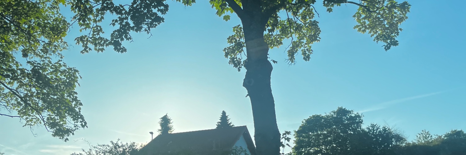 Darkangel (52) – Titelbild bei DateLounge